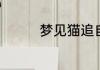 梦见猫追自己是什么意思