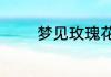 梦见玫瑰花开了是什么意思