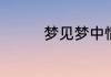 梦见梦中情人是什么意思