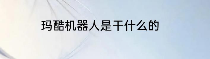 玛酷机器人是干什么的