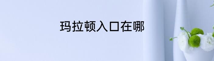 玛拉顿入口在哪