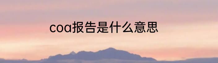 coa报告是什么意思