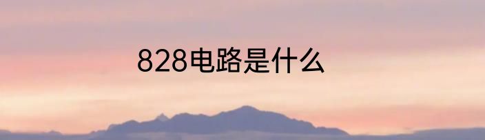 828电路是什么