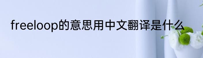 freeloop的意思用中文翻译是什么