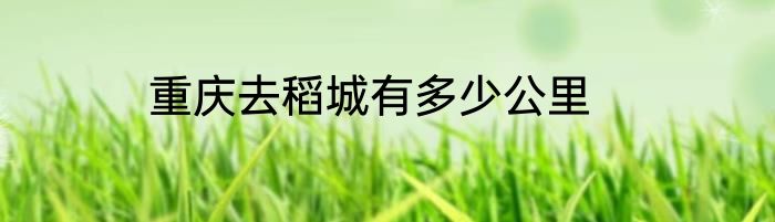 重庆去稻城有多少公里