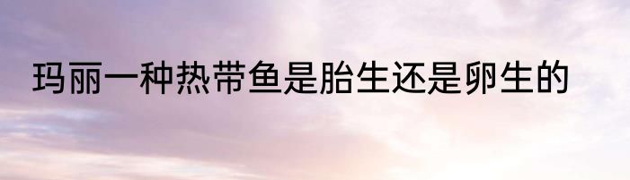 玛丽一种热带鱼是胎生还是卵生的