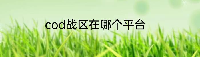 cod战区在哪个平台