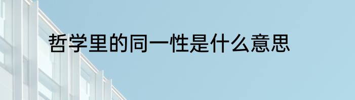 哲学里的同一性是什么意思