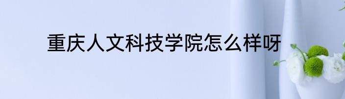 重庆人文科技学院怎么样呀