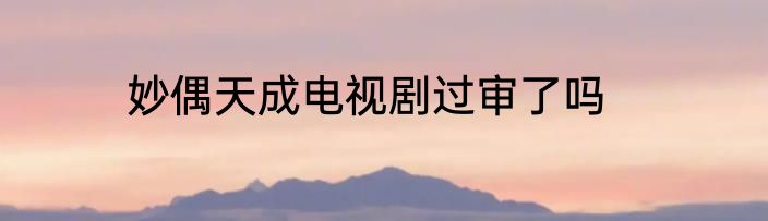 妙偶天成电视剧过审了吗
