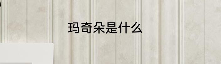 玛奇朵是什么