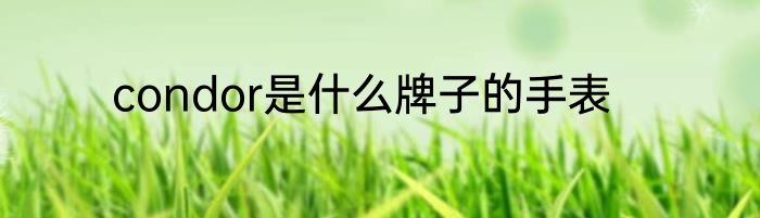 condor是什么牌子的手表