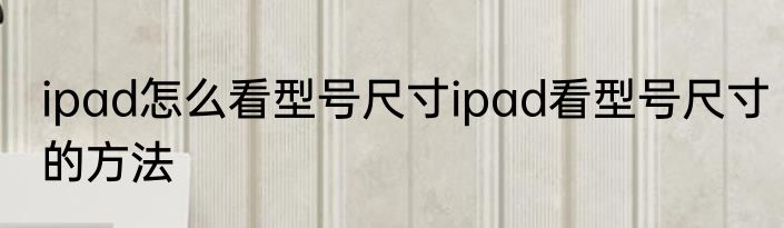 ipad怎么看型号尺寸ipad看型号尺寸的方法