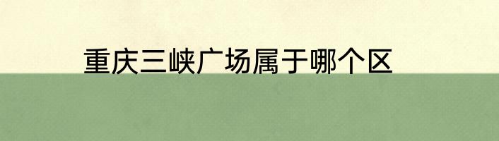 重庆三峡广场属于哪个区