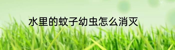 水里的蚊子幼虫怎么消灭