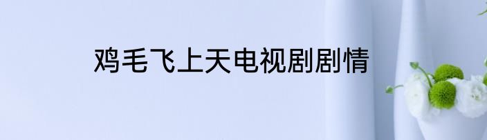 鸡毛飞上天电视剧剧情