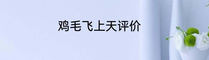 鸡毛飞上天评价