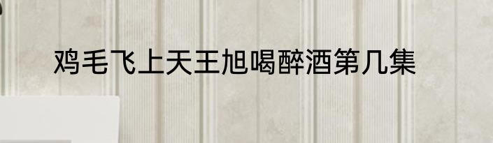 鸡毛飞上天王旭喝醉酒第几集