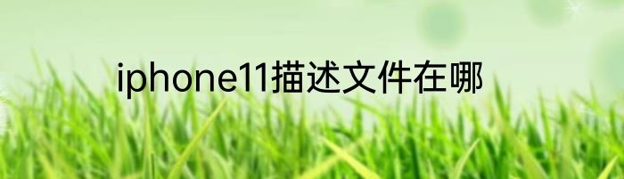 iphone11描述文件在哪