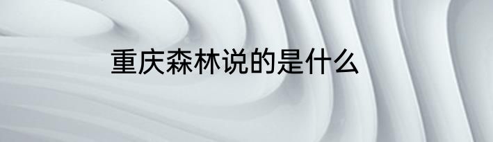 重庆森林说的是什么