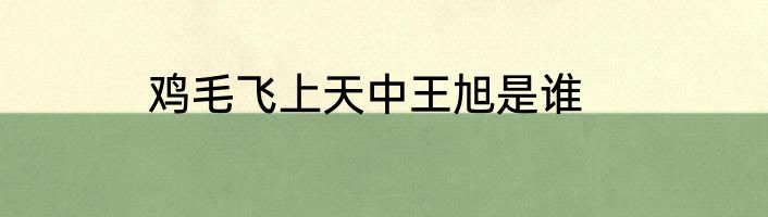 鸡毛飞上天中王旭是谁