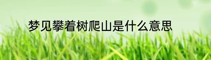 梦见攀着树爬山是什么意思