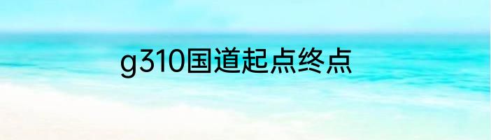 g310国道起点终点