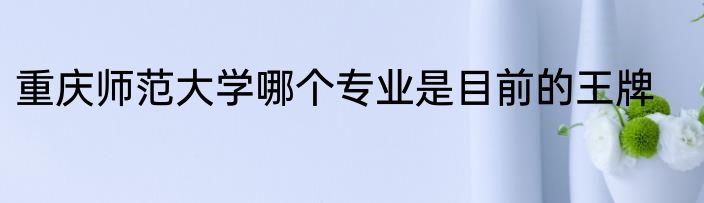 重庆师范大学哪个专业是目前的王牌