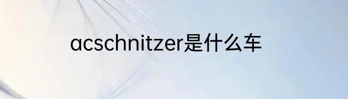 acschnitzer是什么车