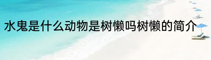 水鬼是什么动物是树懒吗树懒的简介