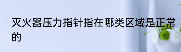 灭火器压力指针指在哪类区域是正常的