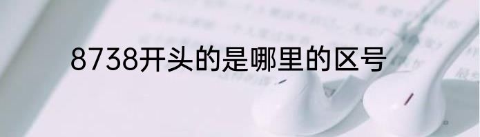 8738开头的是哪里的区号