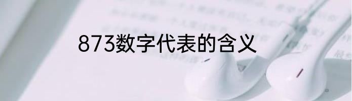 873数字代表的含义