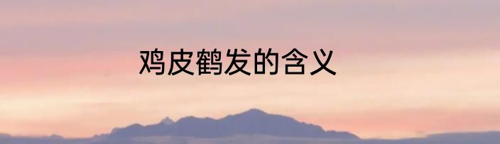 鸡皮鹤发的含义