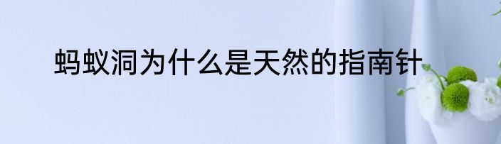 蚂蚁洞为什么是天然的指南针