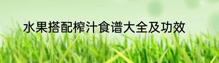 水果搭配榨汁食谱大全及功效