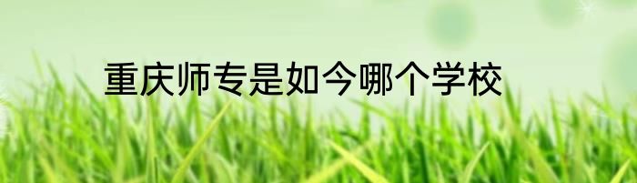 重庆师专是如今哪个学校