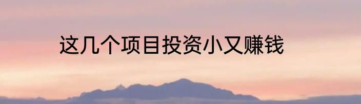 这几个项目投资小又赚钱