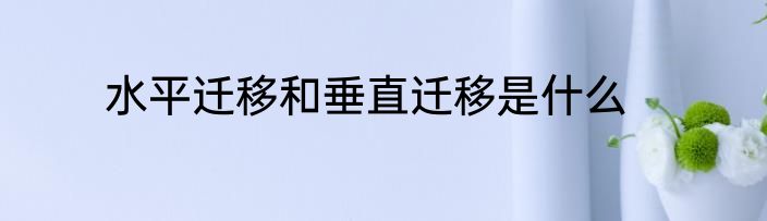 水平迁移和垂直迁移是什么
