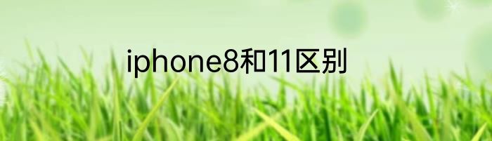 iphone8和11区别