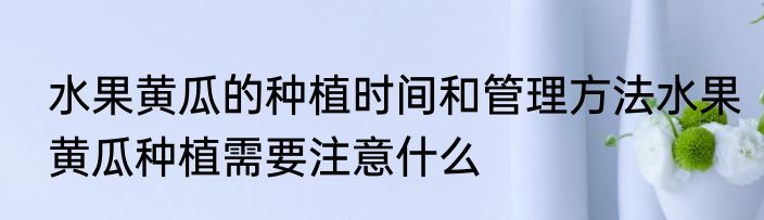 水果黄瓜的种植时间和管理方法水果黄瓜种植需要注意什么