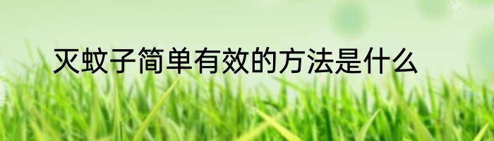 灭蚊子简单有效的方法是什么