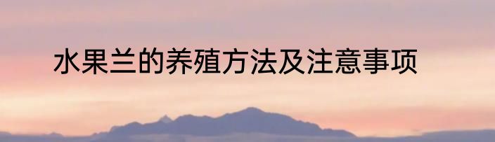 水果兰的养殖方法及注意事项