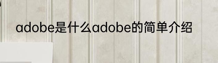 adobe是什么adobe的简单介绍