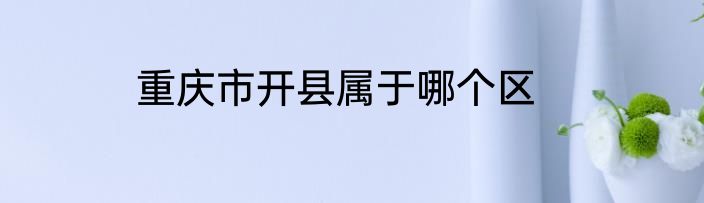 重庆市开县属于哪个区
