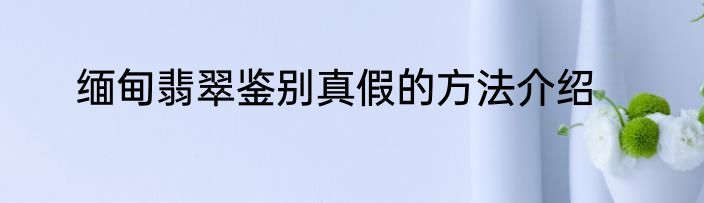 缅甸翡翠鉴别真假的方法介绍
