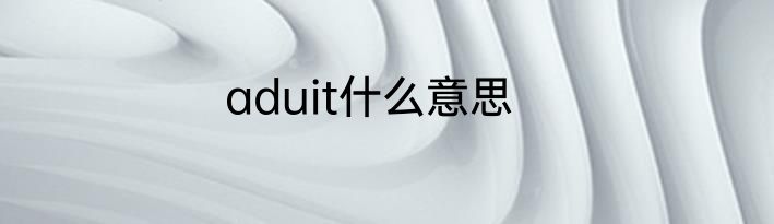 aduit什么意思