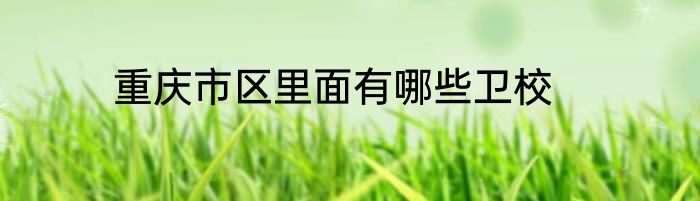 重庆市区里面有哪些卫校