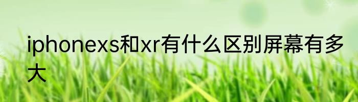iphonexs和xr有什么区别屏幕有多大