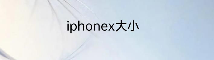 iphonex大小